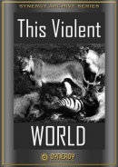 This Violent World