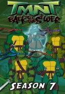 Teenage Mutant Ninja Turtles: Season 7