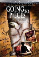 Going To Pieces: The Rise And Fall Of The Slasher Film