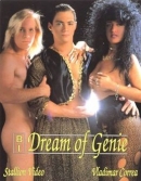 Bi Dream Of Genie