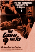 The Curse Of The Fly