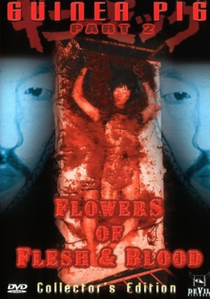 DVD Cover (Devil Pictures)